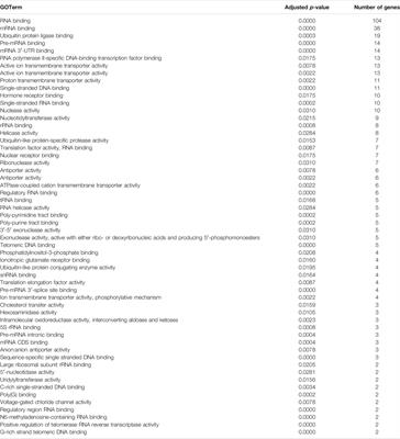 Exploring the Diverse Functional and Regulatory Consequences of Alternative Splicing in Development and Disease